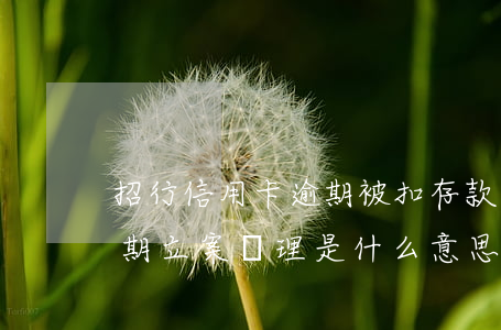 招行信用卡逾期被扣存款(招商銀行信用卡逾期立案處理是什么意思)