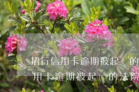 招行信用卡逾期被起訴的法院在哪-招行信用卡逾期被起訴的法院在哪查詢