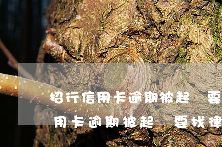 招行信用卡逾期被起訴要找律師么-招行信用卡逾期被起訴要找律師么