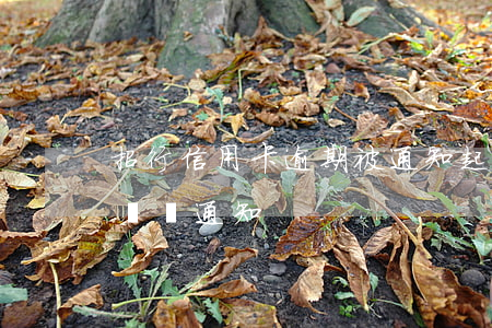 招行信用卡逾期被通知起訴工商-招商銀行訴訟通知