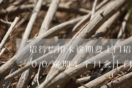 招行信用卡逾期要上门(招商银行信用卡8000逾期4个月会上门吗)