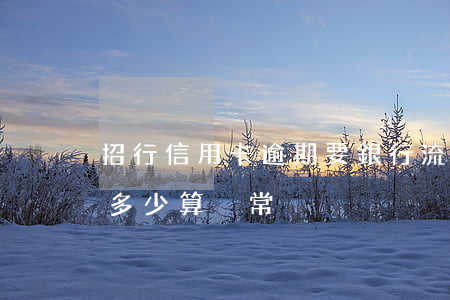 招行信用卡逾期要銀行流水(招商銀行卡流水多少算異常)