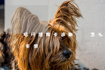 招行信用卡逾期記錄怎么查(怎么查招行信用卡消費記錄)