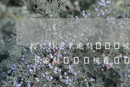 招行信用卡逾期記錄會被覆蓋嗎-招行信用卡逾期記錄會被覆蓋嗎知乎