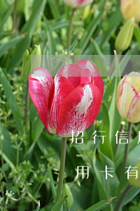 招行信用卡逾期記錄查詢(xún)(招行信用卡有無(wú)逾期哪里看)
