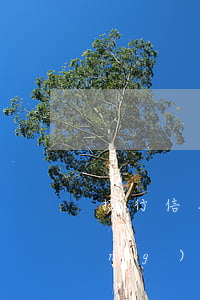招行信用卡逾期說(shuō)已經(jīng)聯(lián)系律師 當(dāng)招行信用卡逾期不打電話了