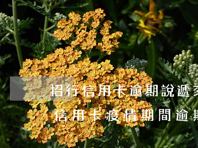 招行信用卡逾期說遞交風控(有沒有投訴招行信用卡疫情期間逾期成功的)