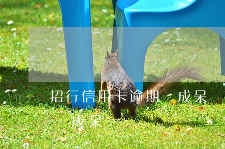 招行信用卡逾期變成呆賬了（招行信用卡逾期變成呆賬）