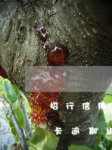 招行信用卡逾期说要移交法务部-招行信用卡逾期说要移交法务部是真的吗
