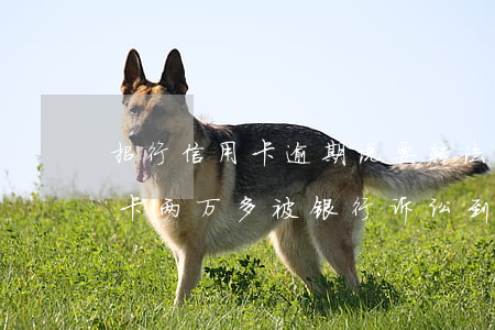 招行信用卡逾期说要转法院(欠招商银行信用卡两万多被银行诉讼到法院)