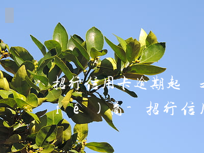 招行信用卡逾期起訴之后是不是不能協(xié)商-招行信用卡逾期起訴之后是不是不能協(xié)商了