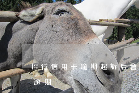 招行信用卡逾期起訴后會怎樣-招行信用卡 逾期