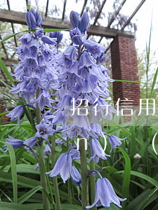 招行信用卡逾期超過(guò)五萬(wàn)會(huì)怎么樣-招行信用卡逾期超過(guò)五萬(wàn)會(huì)怎么樣嗎