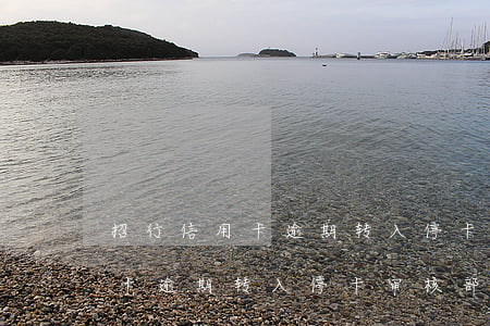 招行信用卡逾期转入停卡审核部-招行信用卡逾期转入停卡审核部门是什么