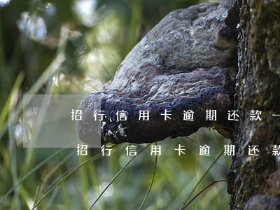 招行信用卡逾期还款一天对征信有影响吗-招行信用卡逾期还款一天对征信有影响吗