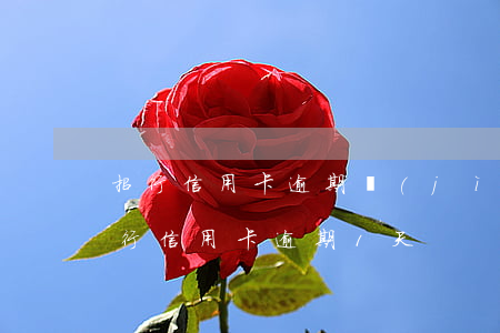 招行信用卡逾期進(jìn)入第三個月 招行信用卡逾期1天