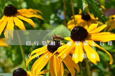 招行信用卡逾期還上后降額(逾期了信用卡會(huì)降額嗎)