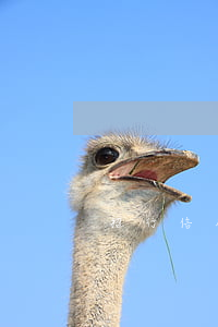 招行信用卡逾期還不起協(xié)商
