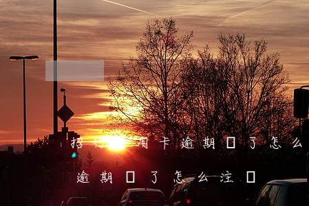 招行信用卡逾期還了怎么注銷卡（招行信用卡逾期還了怎么注銷）