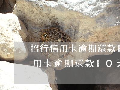 招行信用卡逾期還款10天會怎樣-招行信用卡逾期還款10天會怎樣處理