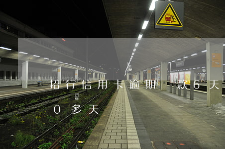 招行信用卡逾期還款6天(招行信用卡逾期20多天)
