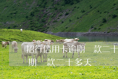 招行信用卡逾期還款二十多天 招行信用卡逾期還款二十多天