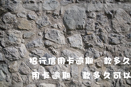 招行信用卡逾期還款多久可以使用-招行信用卡逾期還款多久可以使用額度