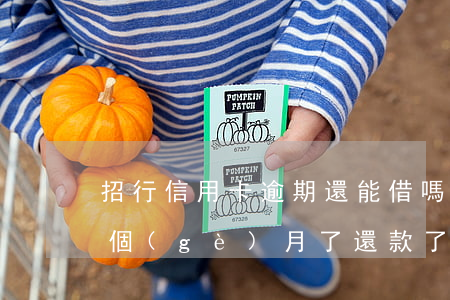 招行信用卡逾期還能借嗎(招商信用卡逾期幾個(gè)月了 還款了還能用嗎)