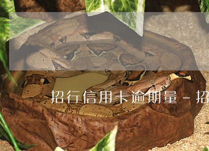 招行信用卡逾期量-招商银行信用卡逾期