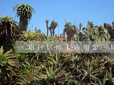 招行信用卡逾期金-招行信用卡逾期金
