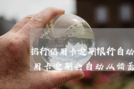 招行信用卡逾期银行自动扣款(招商银行新信用卡逾期会自动从储蓄卡扣吗)