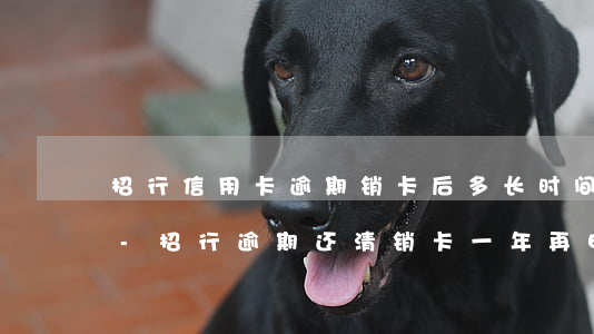 招行信用卡逾期销卡后多长时间可以再申请-招行逾期还清销卡一年再申请没有秒拒