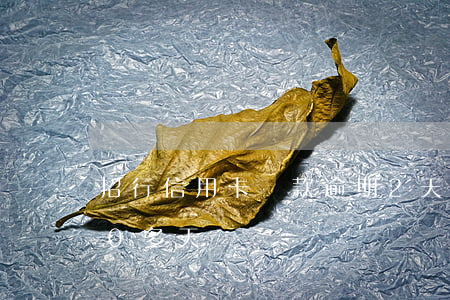 招行信用卡還款逾期2天(招行信用卡逾期20多天)