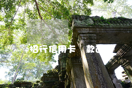 招行信用卡還款逾期兩個(gè)月