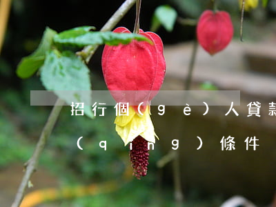 招行個(gè)人貸款條件(招行生意貸申請(qǐng)條件)