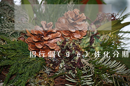 招行個(gè)性化分期3次