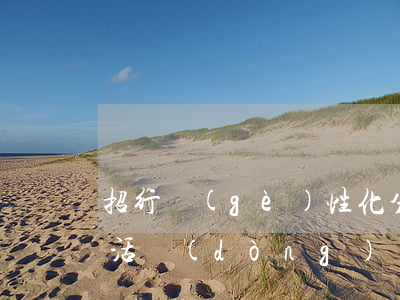 招行個(gè)性化分期還款(招行分期還款活動(dòng))