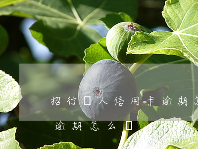 招行個人信用卡逾期怎么辦(招行個人信用卡逾期怎么辦)