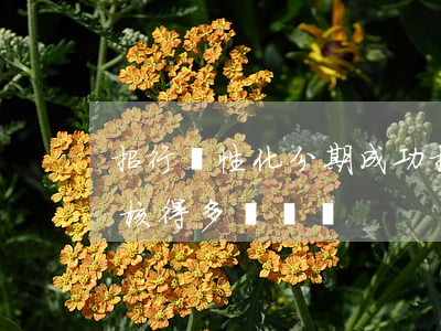 招行個性化分期成功(招商銀行個性化分期審核得多長時間?)