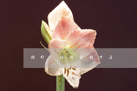 招行個性化分期方法