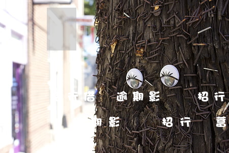 招行借貸逾期影響辦招行儲蓄卡嗎-招行借貸逾期影響辦招行儲蓄卡嗎知乎