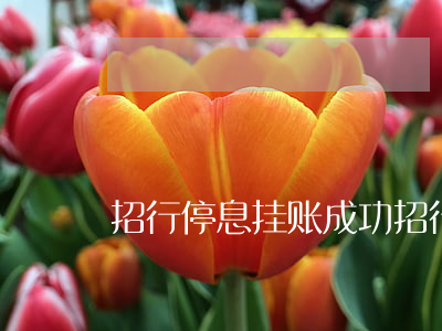 招行停息挂账成功（招行逾期停息挂账咋处理）