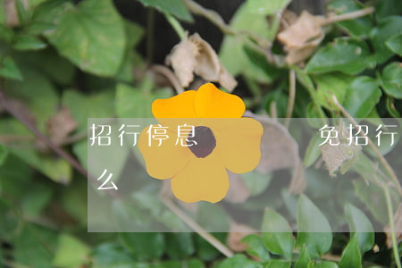 招行停息掛賬無減免 招行停息掛賬無減免怎么辦