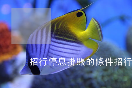 招行停息掛賬的條件(招行申請停息掛賬)