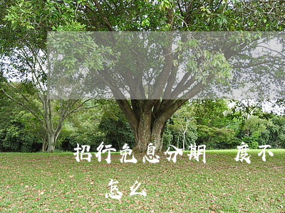 招行免息分期額度不夠(招行免息分期額度不夠怎么辦)