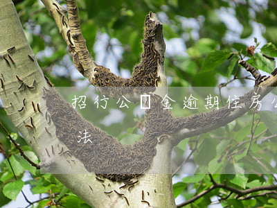 招行公積金逾期 住房公積金逾期貸款管理辦法