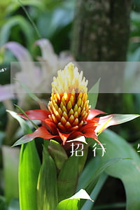 招行凱特信用卡利息（招行凱特信用卡利息）