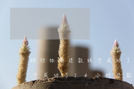 招行协商还款终于成功了-招行协商还款终于成功了24小时还款吗