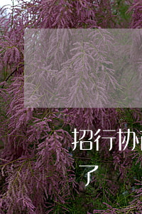 招行协商还款高招-招行协商还款终于成功了
