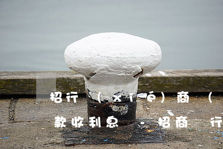 招行協(xié)商個(gè)性化分期還款收利息嗎-招商銀行協(xié)商個(gè)性化分期還款要些什么證明